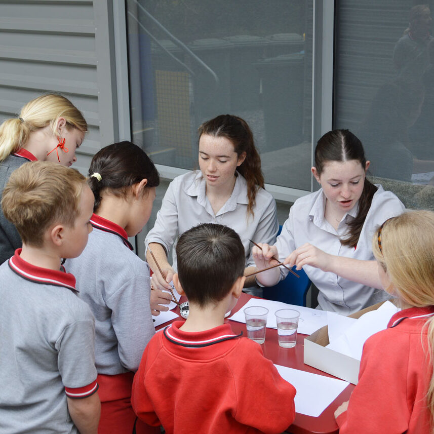 DSC_0078-web